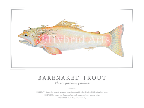Barenaked Trout Print