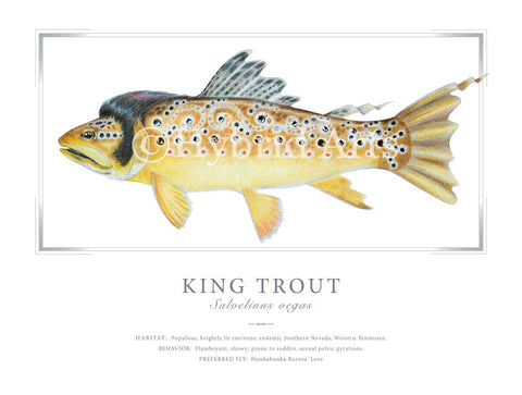 King Trout Print