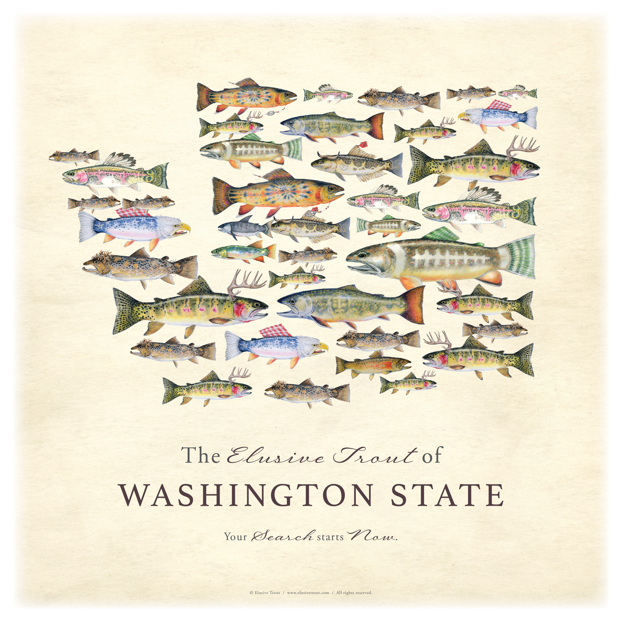 12"x12" The Elusive Trout of Washington State Giclee Print
