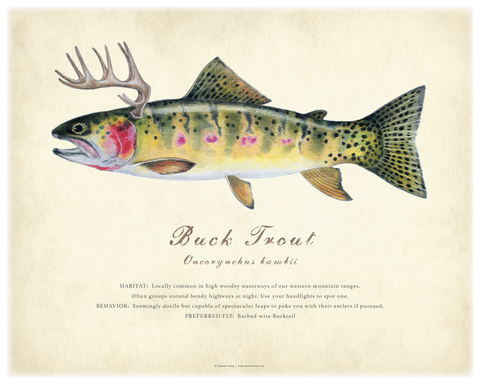 16" x 20" Buck Trout Giclée Print