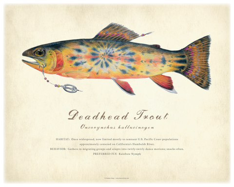 16" x 20" Deadhead Trout Giclée Print