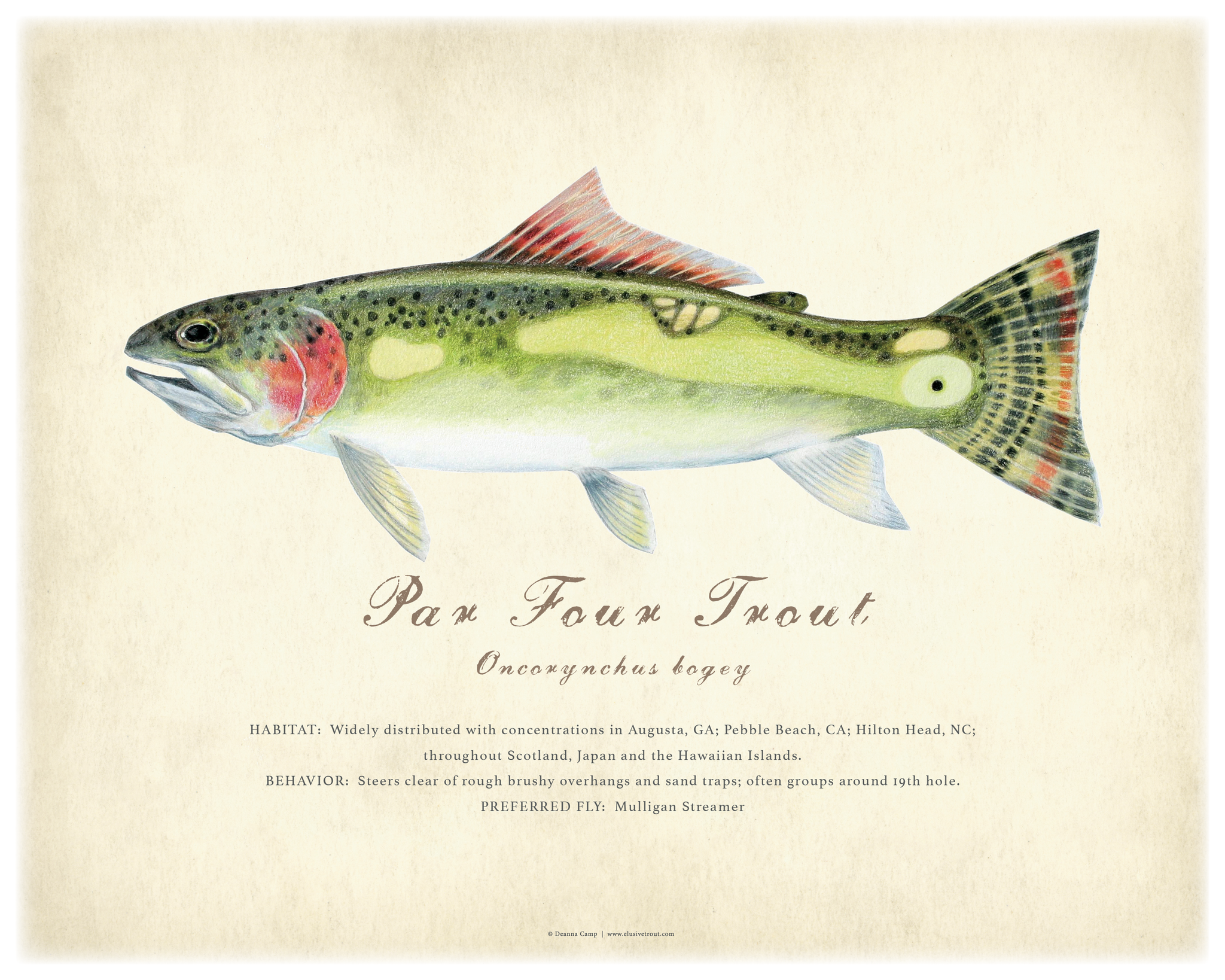 11" x 14" Par Four Trout Giclée Print