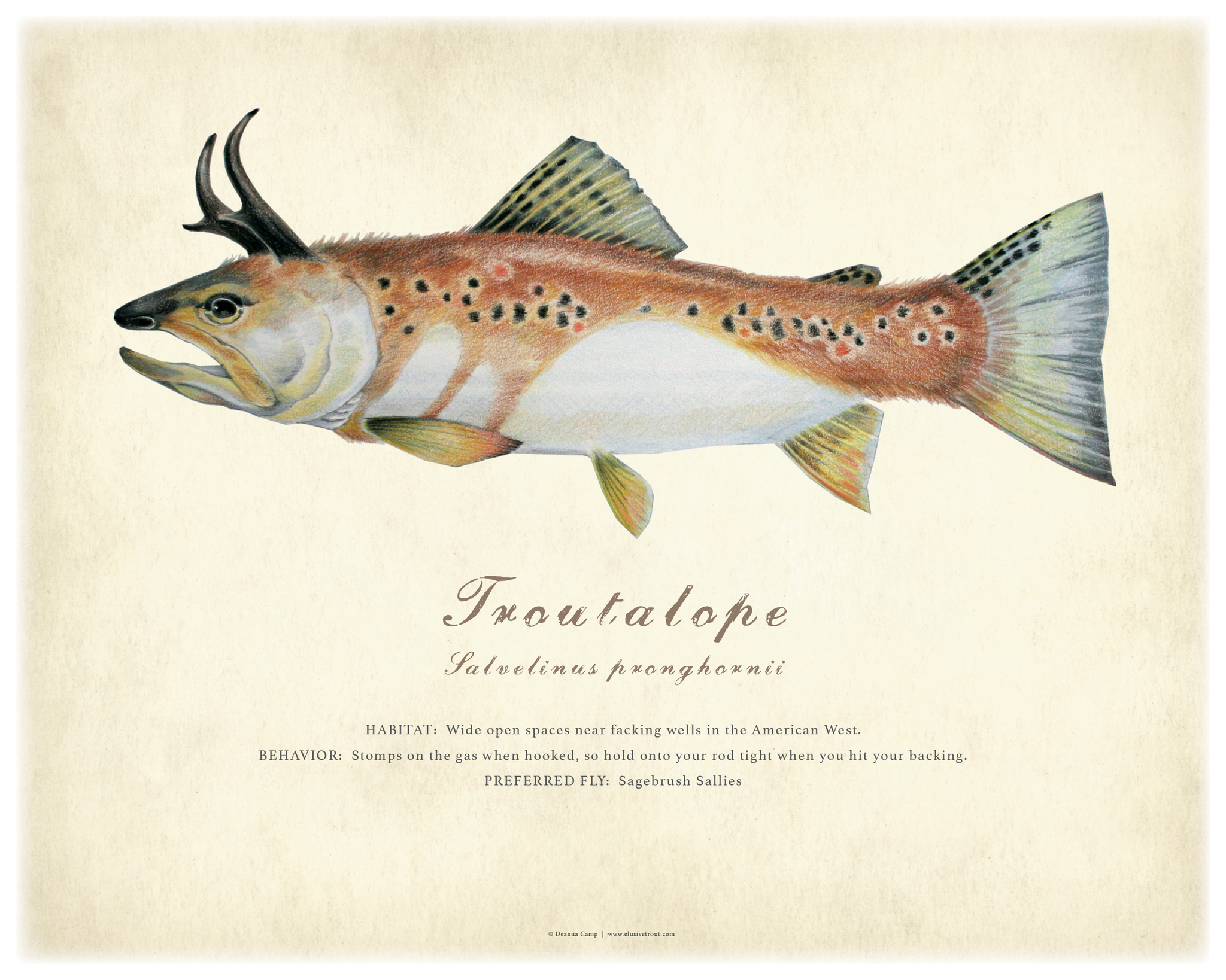 11" x 14" Troutalope Giclée Print