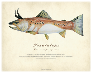 11" x 14" Troutalope Giclée Print