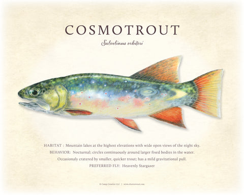 Cosmo Trout Giclee Print
