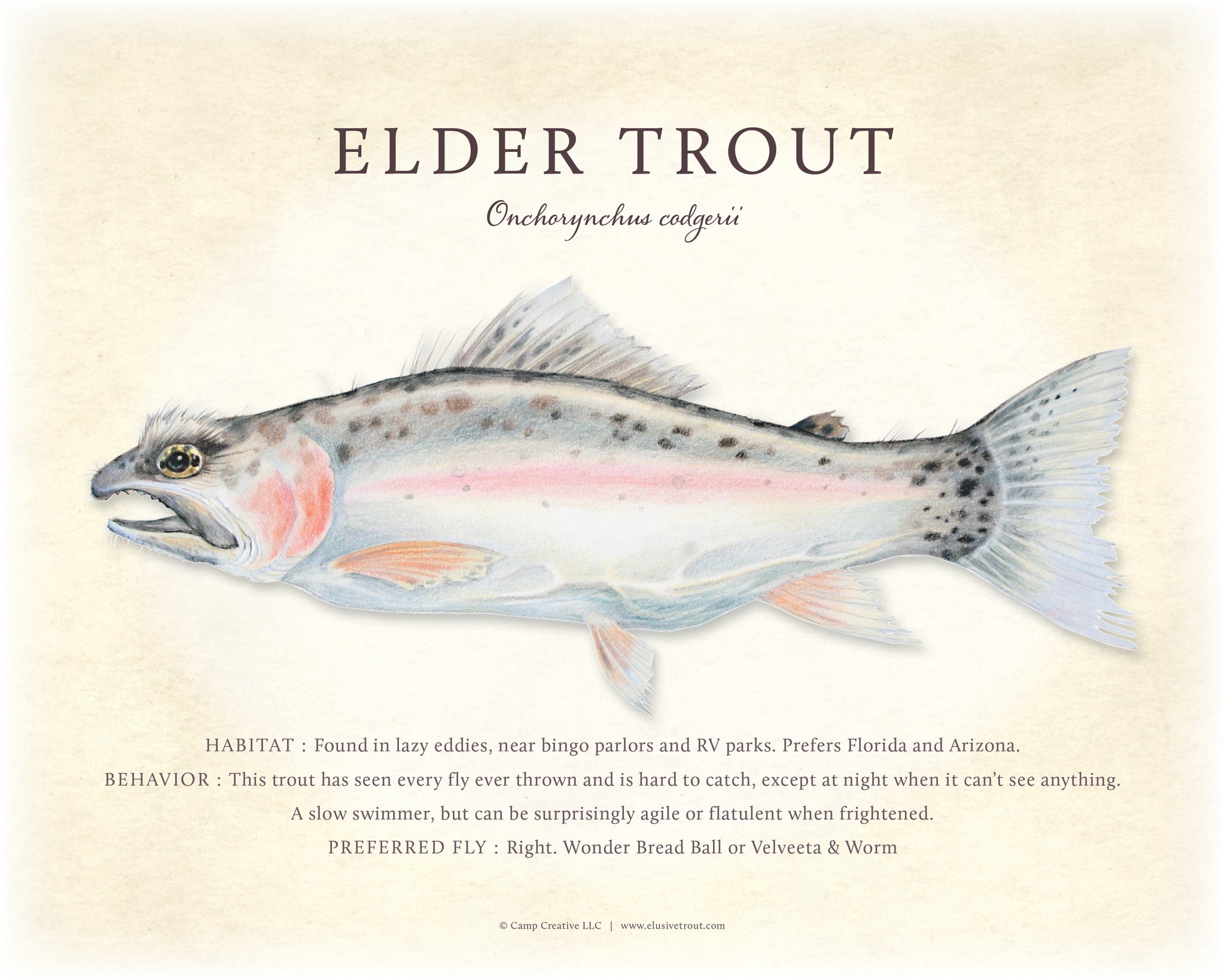 Elder Trout Giclee Print