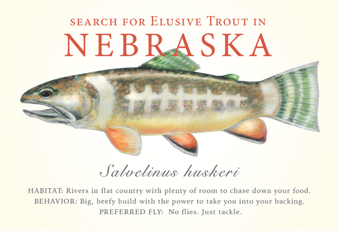 Nebraska State Trout Card