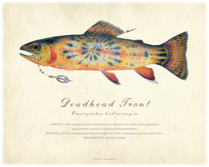 16" x 20" Deadhead Trout Giclée Print