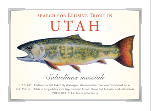 Utah State Trout Card