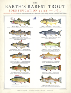 Earth's Rarest Trout Poster