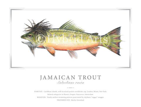 Jamaican Trout Print