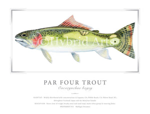 Par Four Trout Print