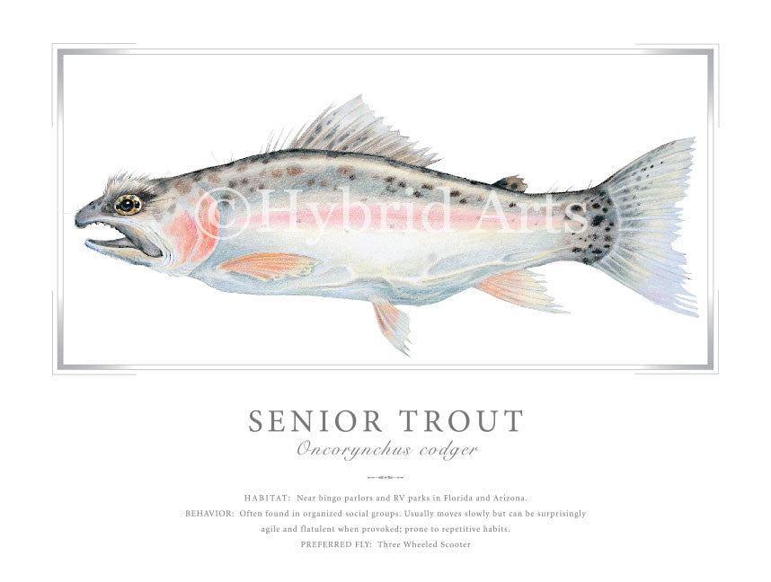 Senior Trout Print