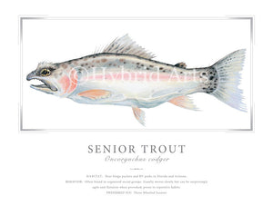 Senior Trout Print