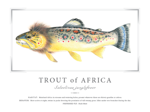 Trout of Africa Print