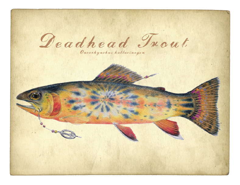 その他 Trout Grass [DVD] Shop | Trout Grass