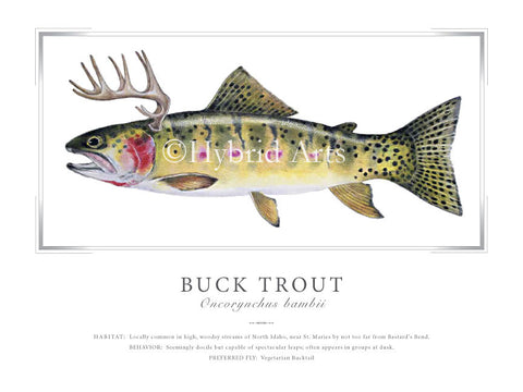 Buck Trout Print