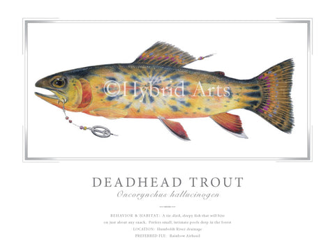 Deadhead Trout Print