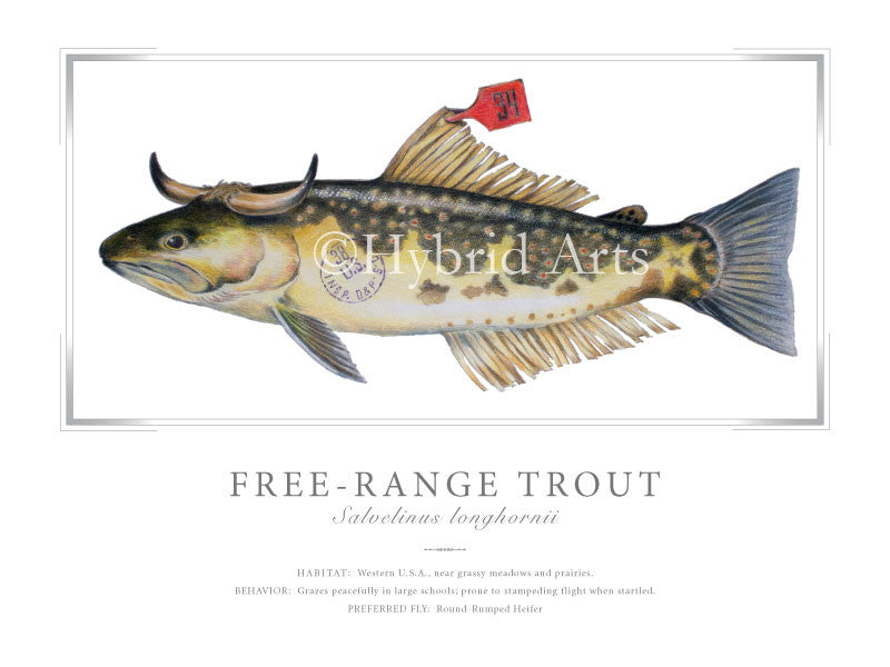 Free-Range Trout Print