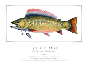 Punk Trout