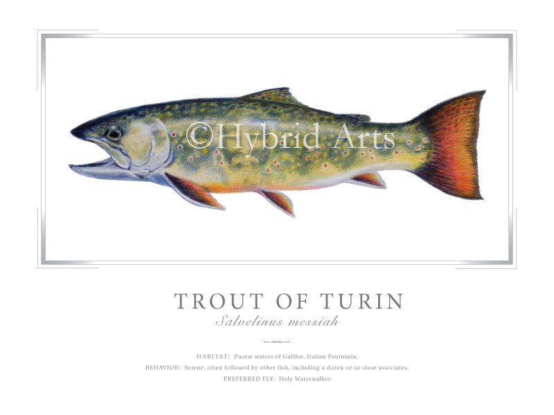 Trout of Turin